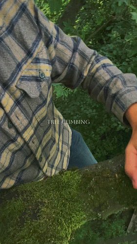 Tree climbing 🌳
Reconnect with nature through the primal act of tree climbing, a scientifically supported practice that foste...