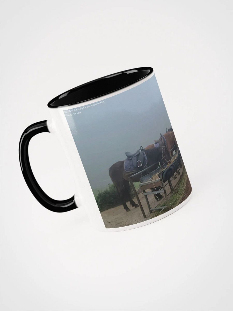 Jeju Island Unesco fog Korean horses resting product image (6)