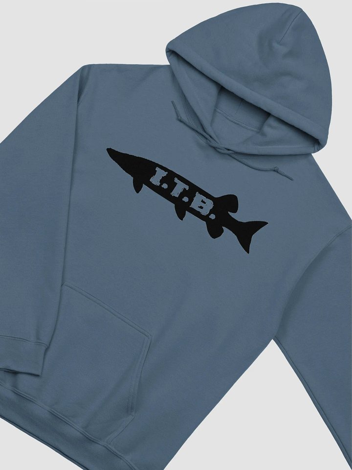 Logo Hoodie product image (14)