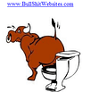 BullShitWebsites.com