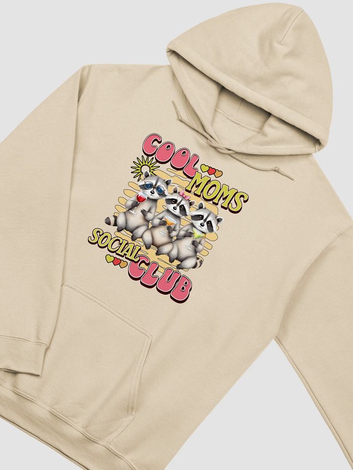 Cool Moms Social Club Raccoon Hoodie product image (15)