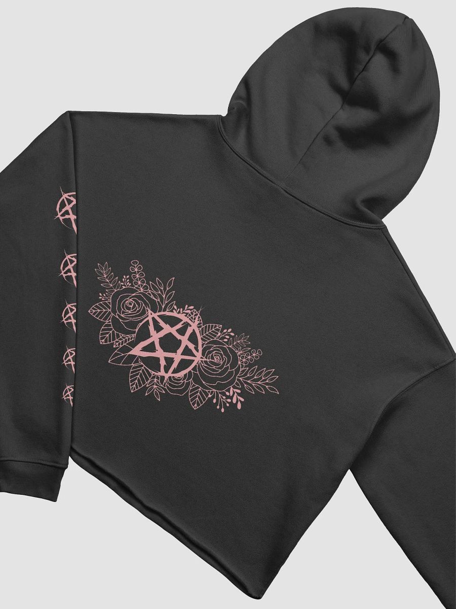 Crop Hoodie (Pink) product image (4)