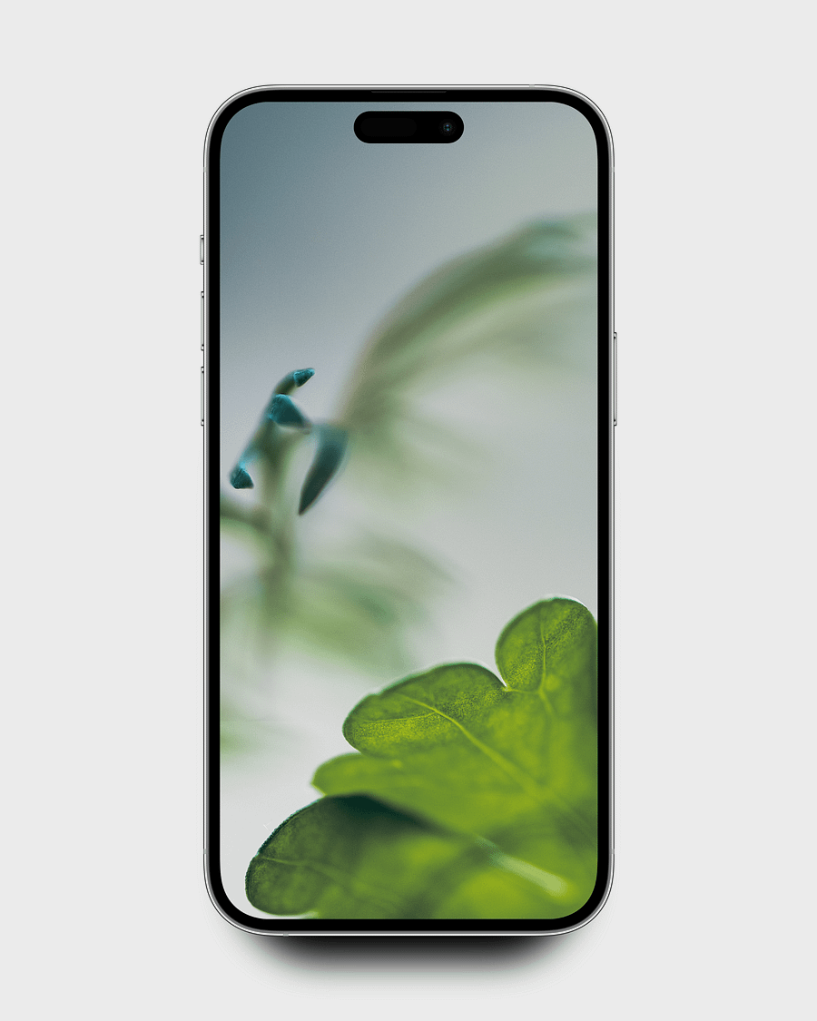 Up Close V2 8K & iPhone Wallpaper Pack product image (4)