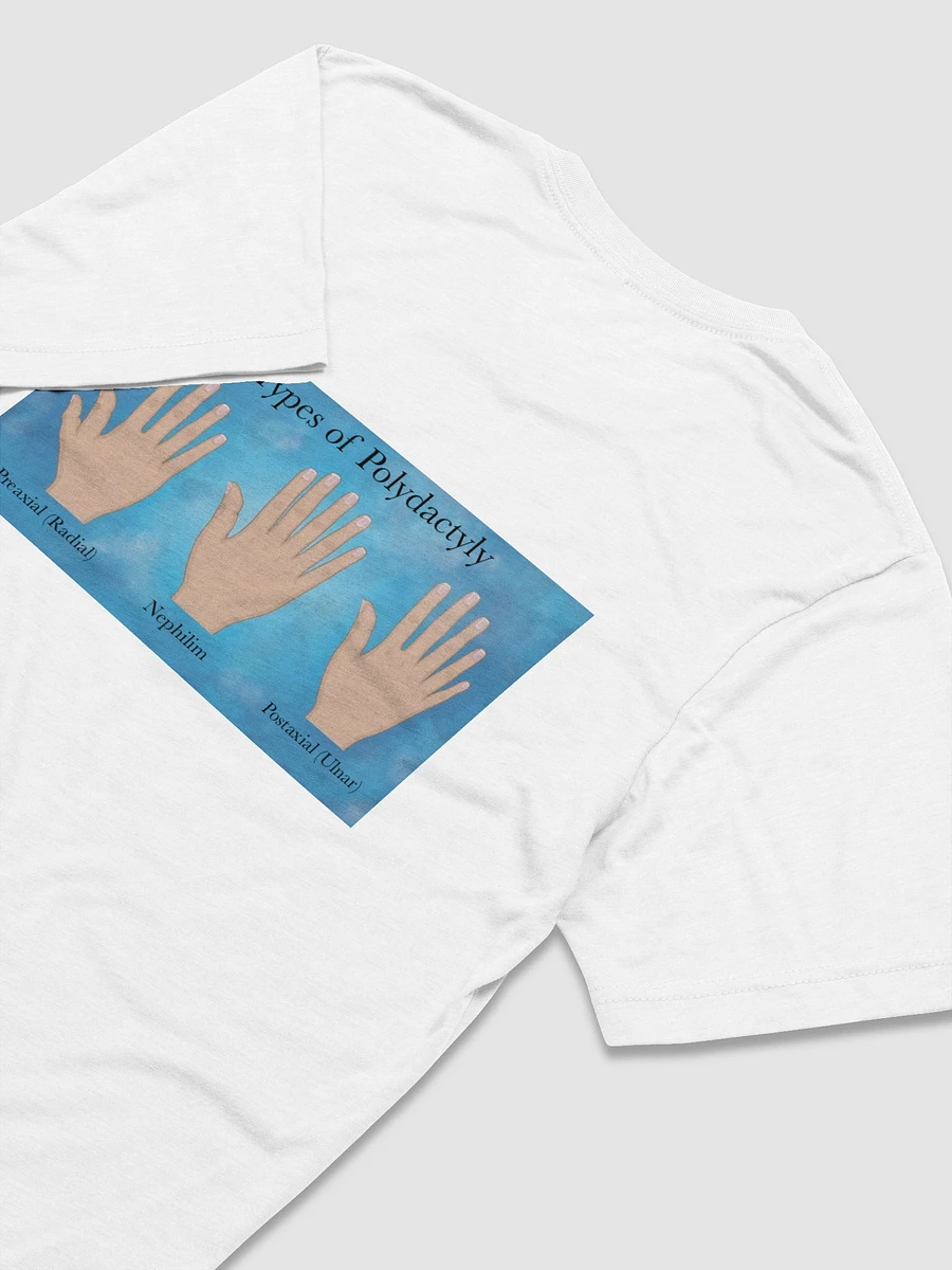 Polydactyly (Nephilim) - Triblend Short Sleeve T-Shirt product image (4)