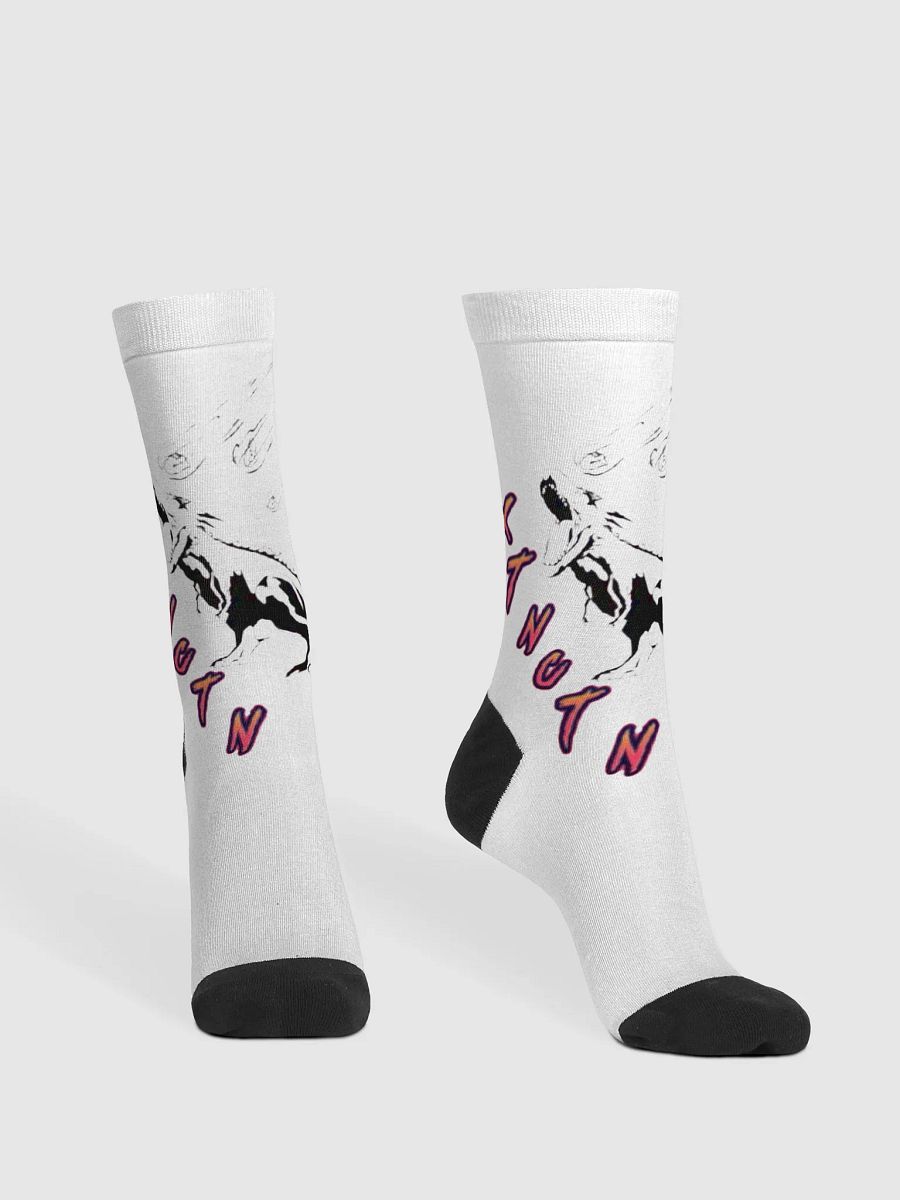 pj xtnctn socks product image (1)