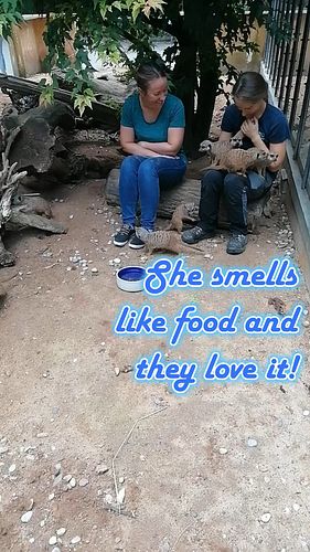 [Post 2 of 6] Once we got into the enclosure and they got used to use being there we took a seat on a log and she told me all...