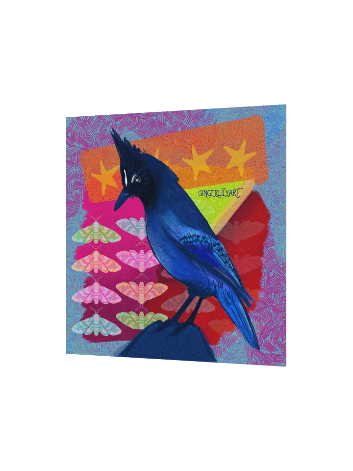 steller's jay print product image (6)