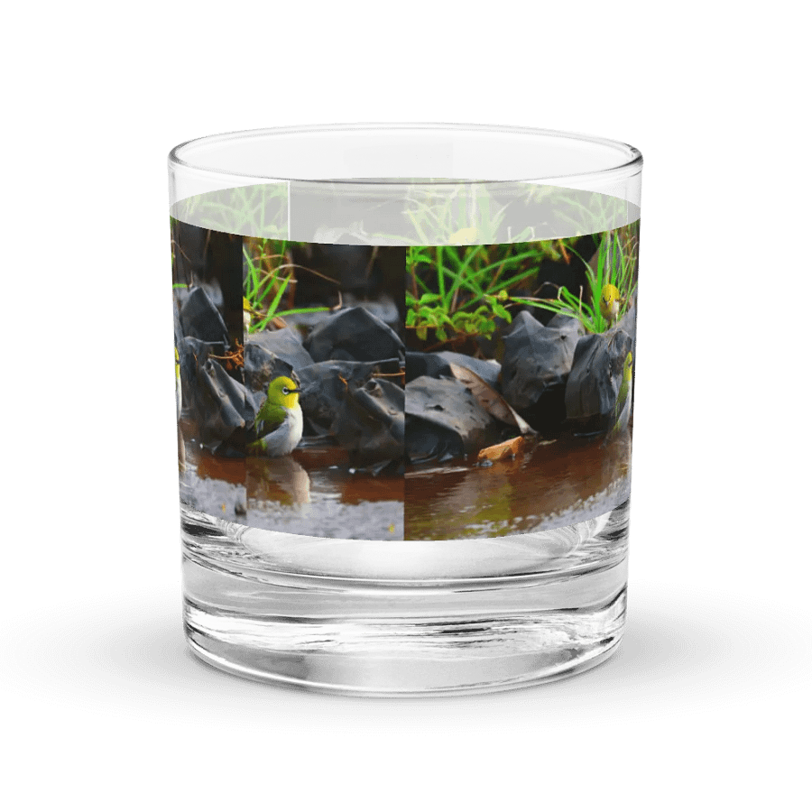 IUCAA Birds GLASS product image (4)
