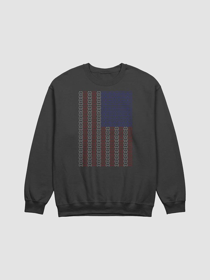 American Flag Crewneck (Controller) product image (1)