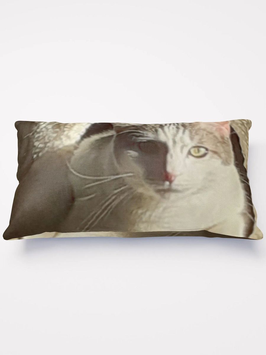 Cat Sunning product image (3)