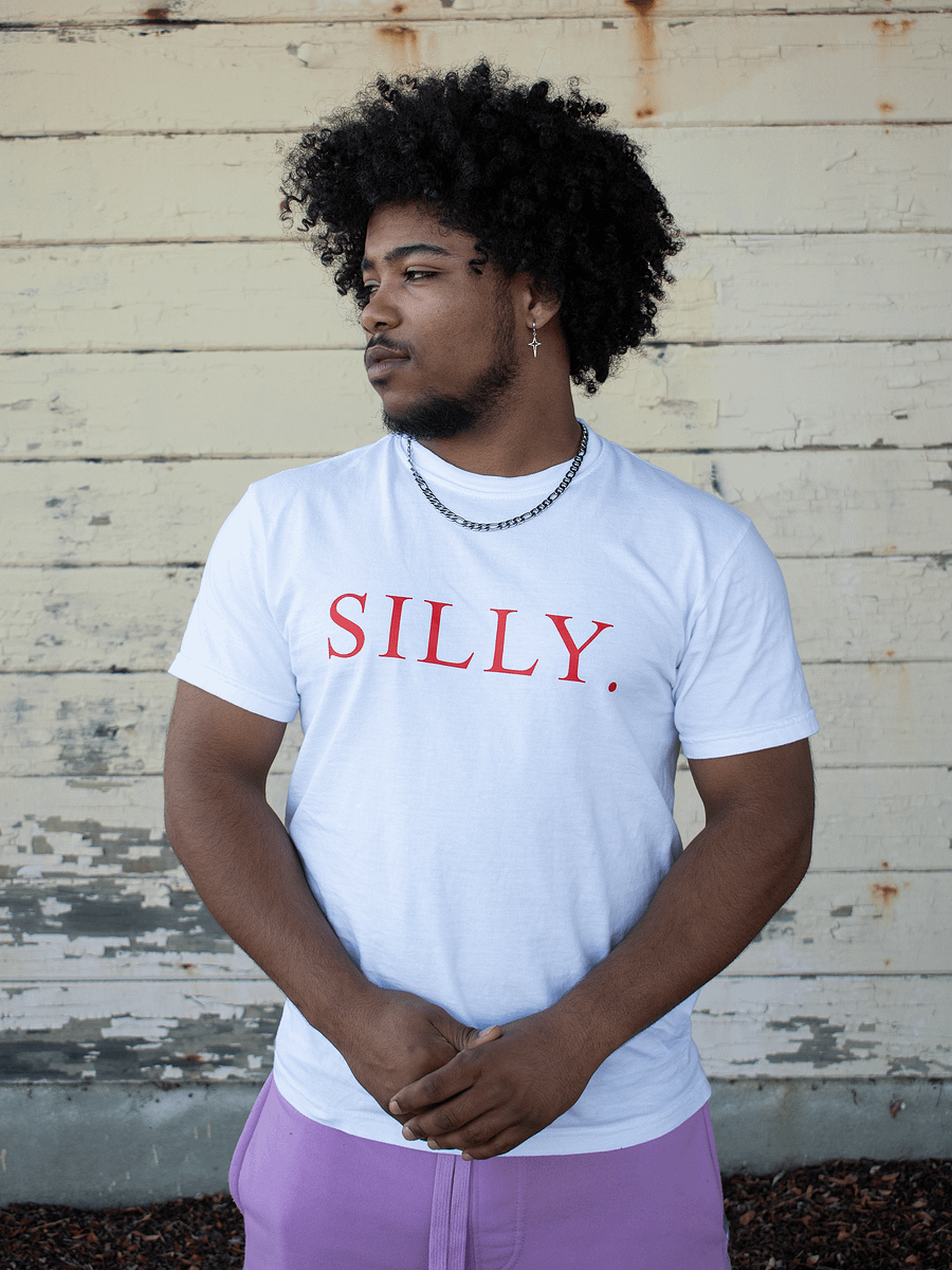 The Silly Shirt product image (1)