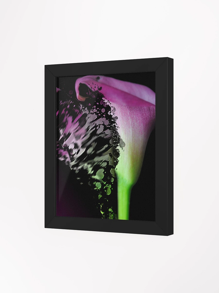 Shattered Pink Calla Lily Framed Poster product image (44)