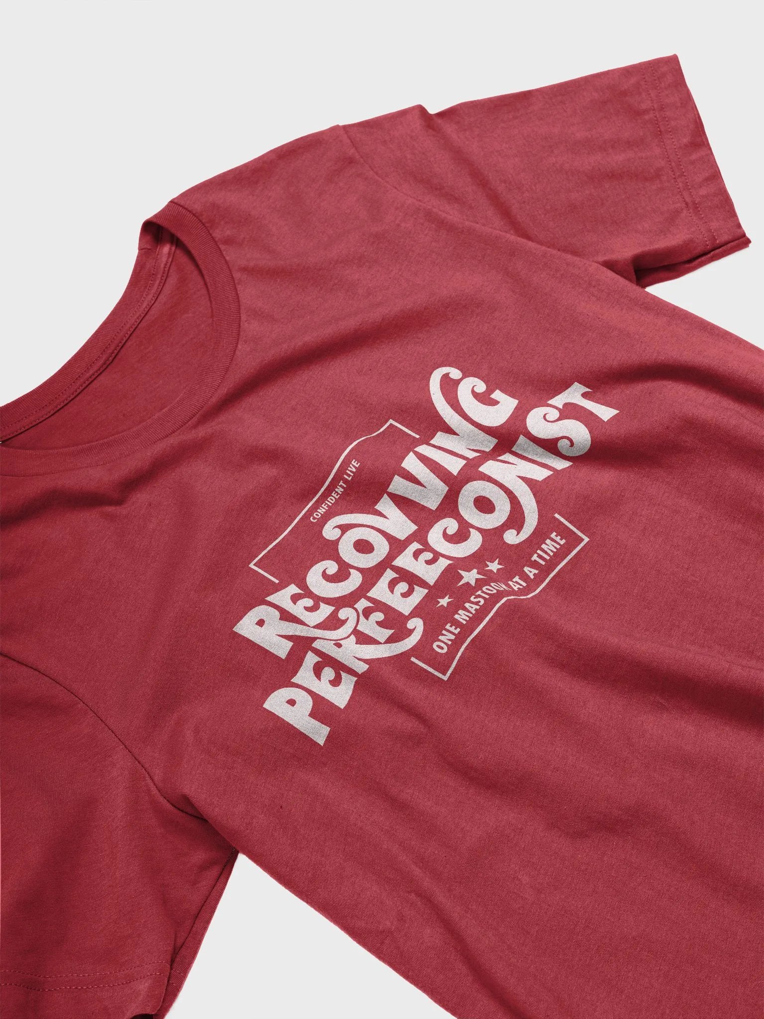 One Mastook Recovving Perfeeconist T-Shirt (Light w/white) product image (3)