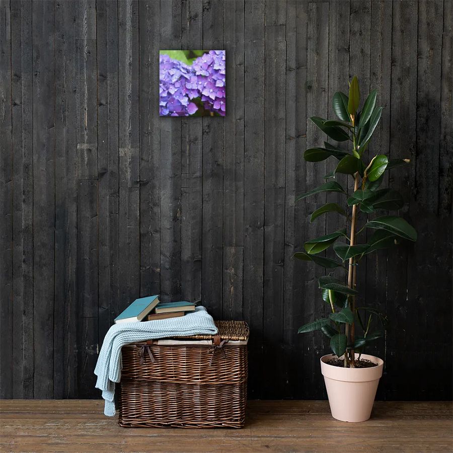 Hydrangeas product image (3)