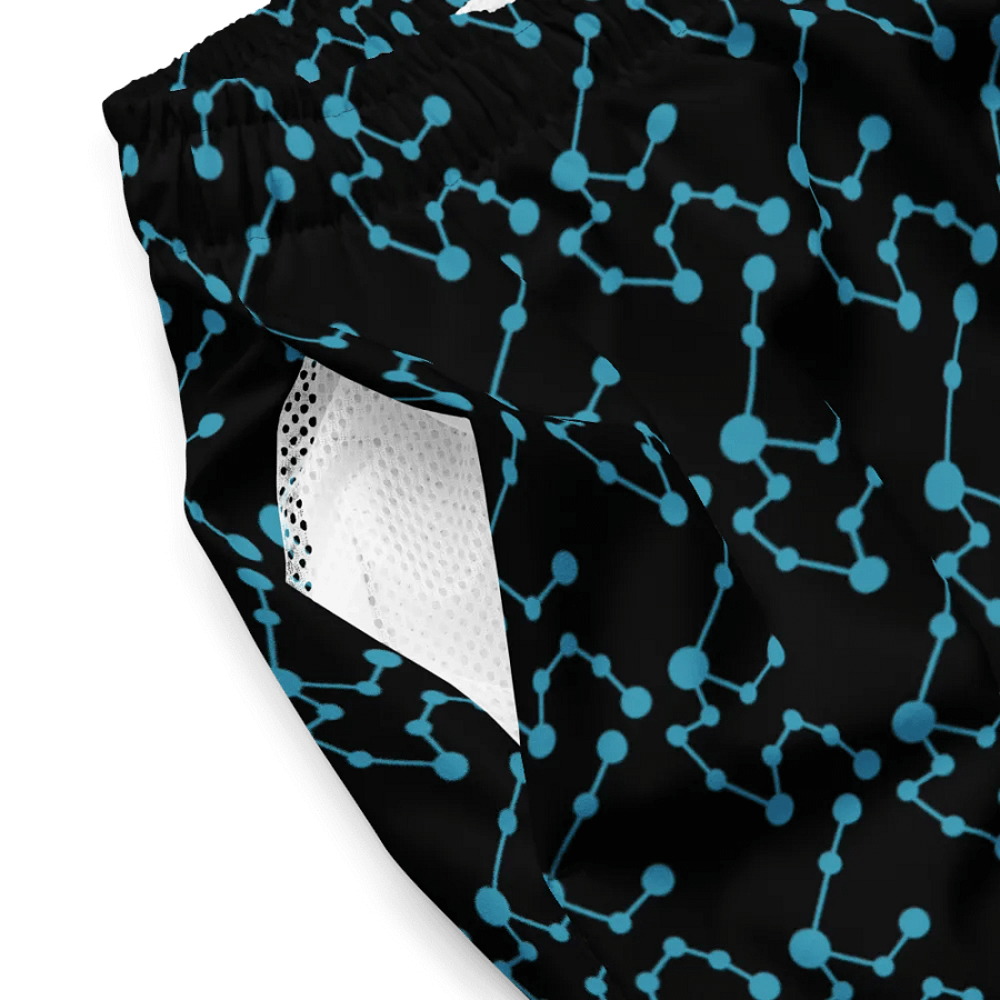 Aquarius Fusion Swim Shorts product image (4)