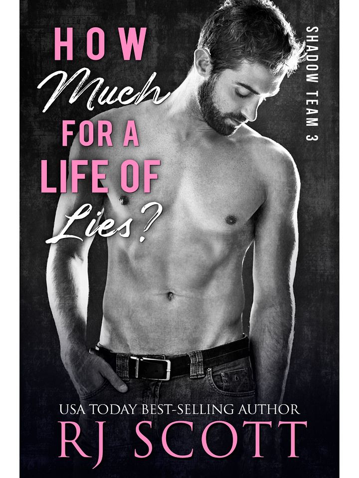 How Much For a Life of Lies? (Shadow Team 3) - paperback product image (2)