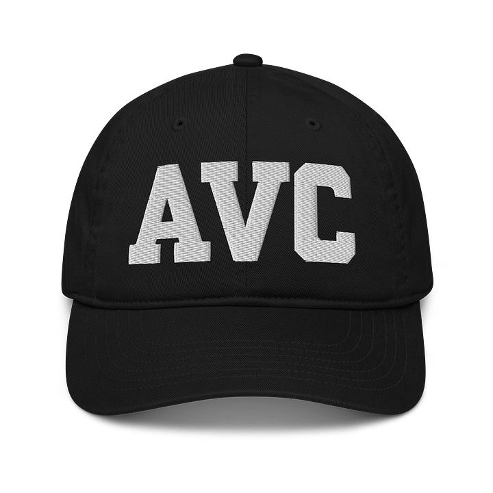 AVC Organic Dad Hat by Econscious product image (1)