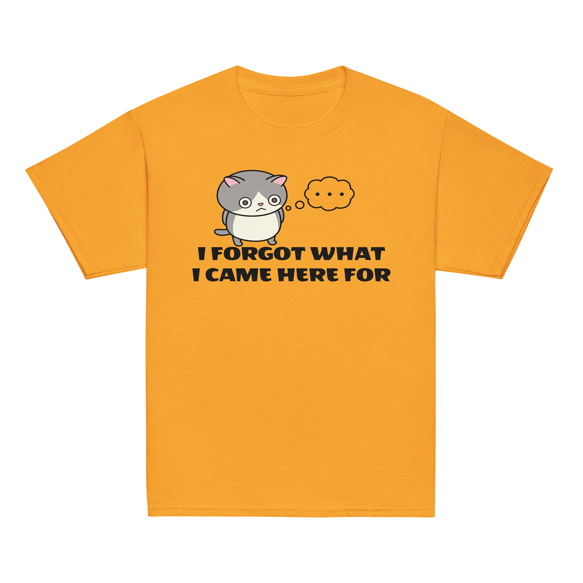 Short-term Memory Loss - Unisex Youth Heavyweight T-shirt product image (2)