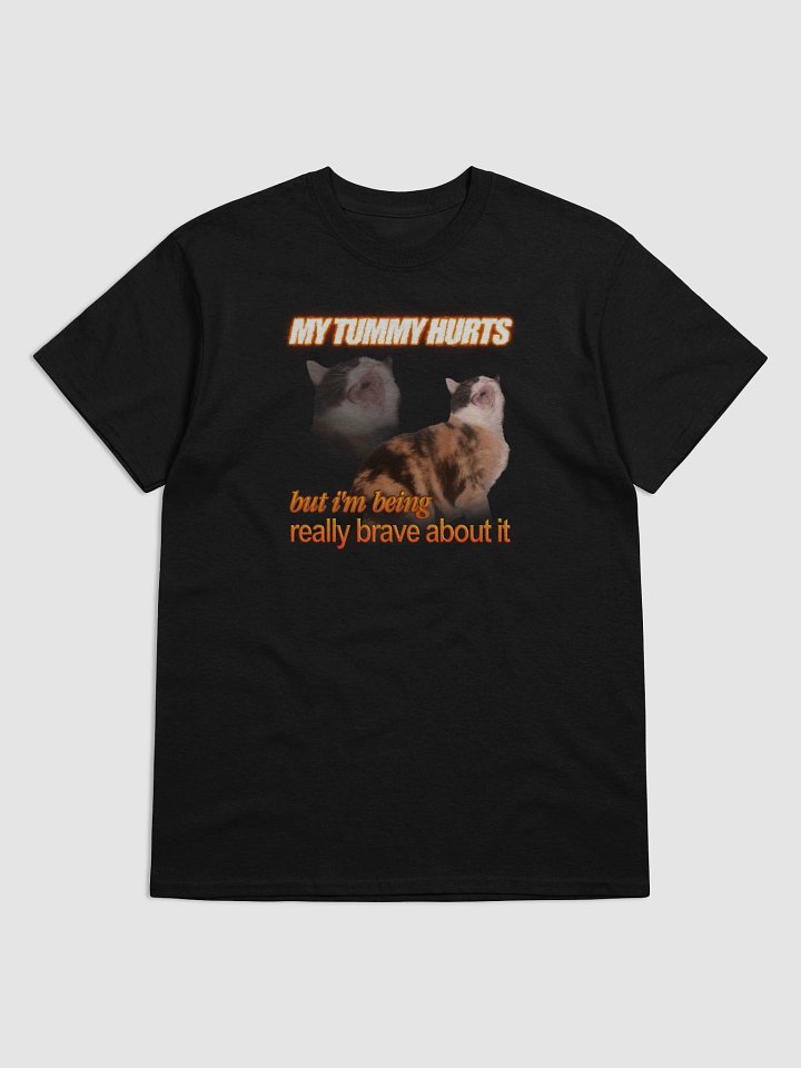 My Tummy Hurts and I'm Bring Really Brave - Cat T-shirt product image (61)