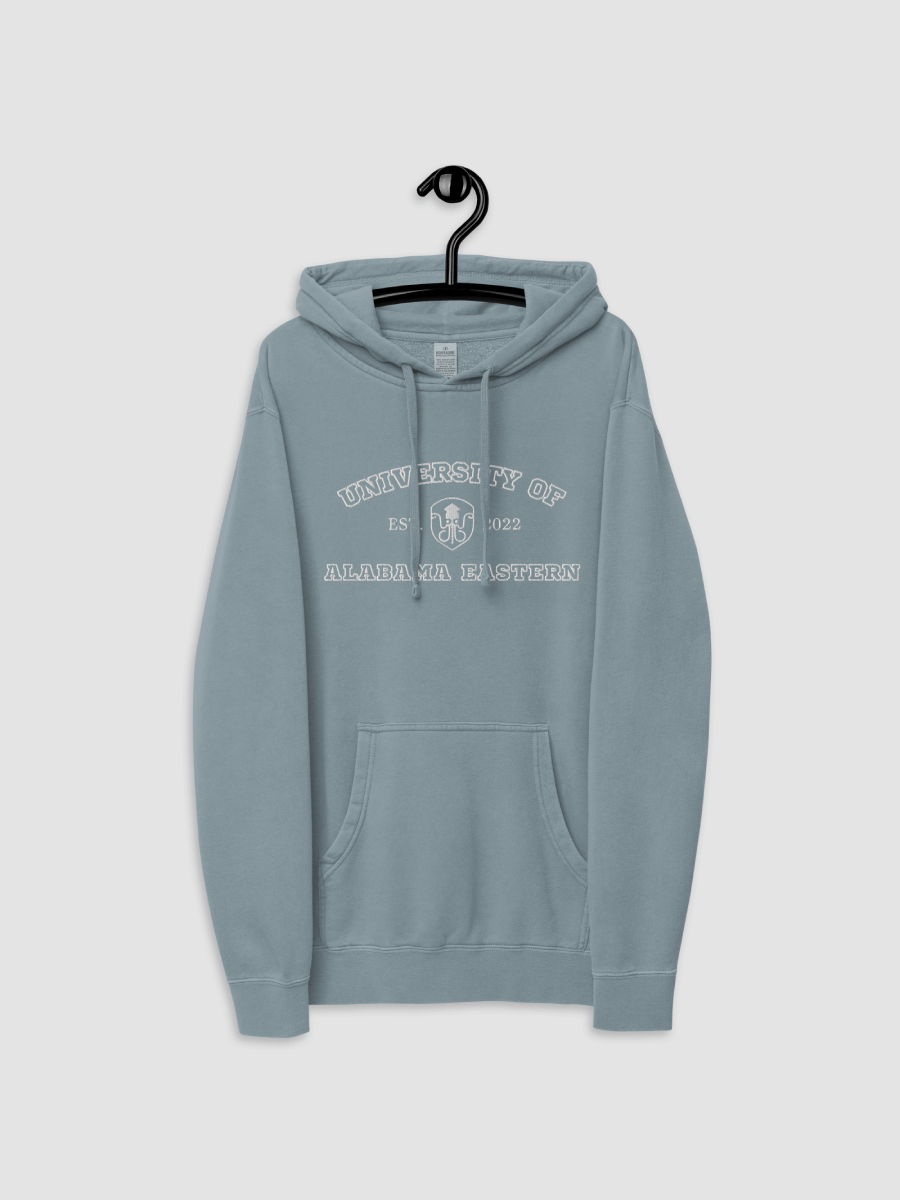 University Hoodie product image (2)