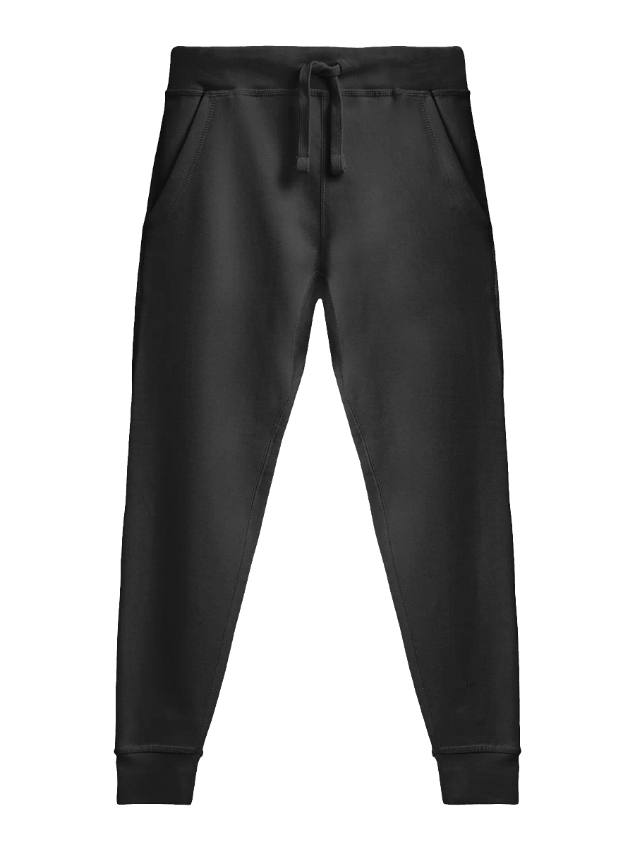 Bold Ego Statement Fleece Joggers product image (4)