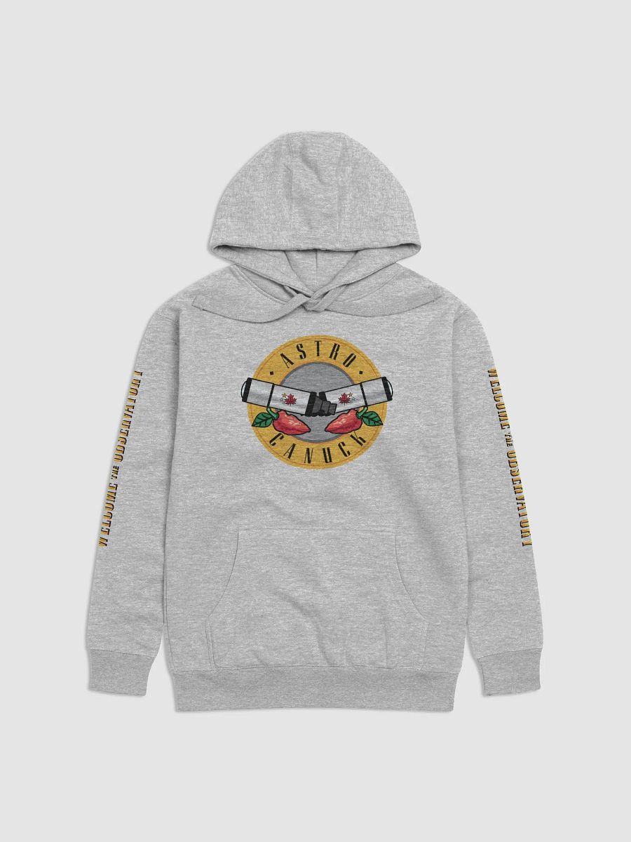 Welcome to the Observatory - Hoodie product image (1)