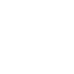 Allstar Squad Merch Store