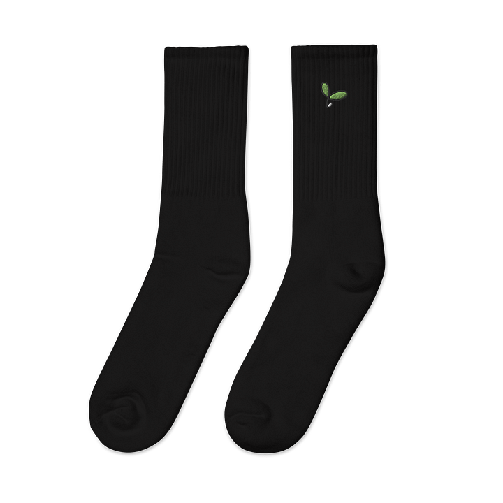 [Squishy Sprout] Socks product image (4)