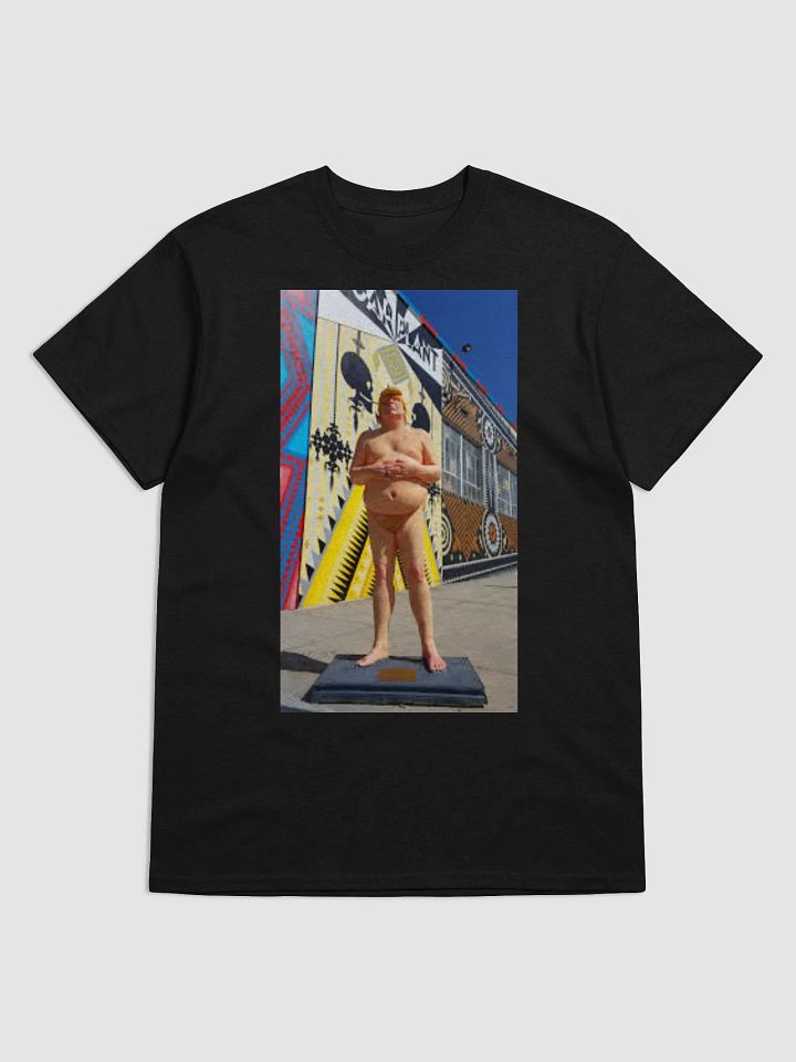 DONALD TRUMP MAKE AMERICA GREAT AGAIN product image (1)