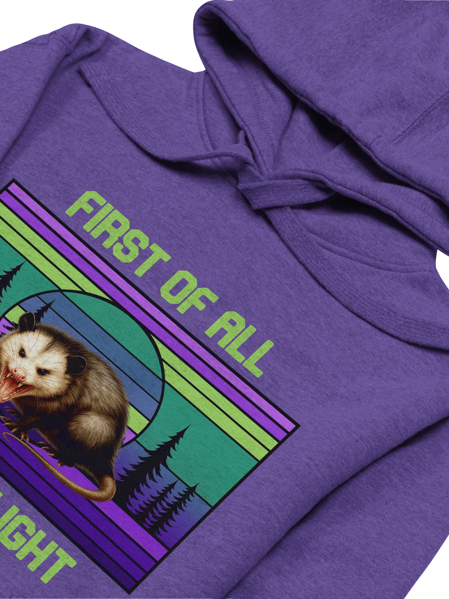 PASP Possum “I’m A Delight” Hoodie – Classic PASP Edition product image (23)