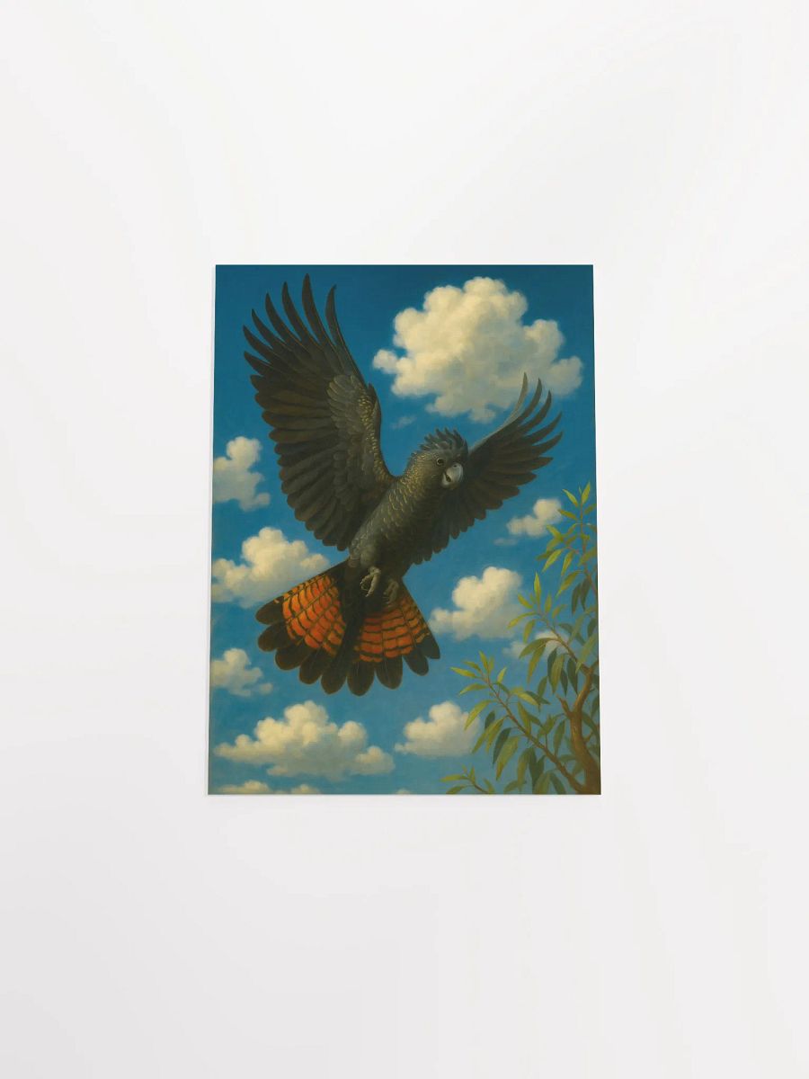 Red tailed black cockatoo. product image (11)