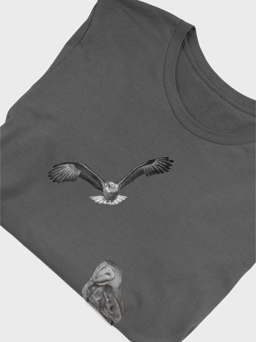 Birds of prey t-shirt product image (53)