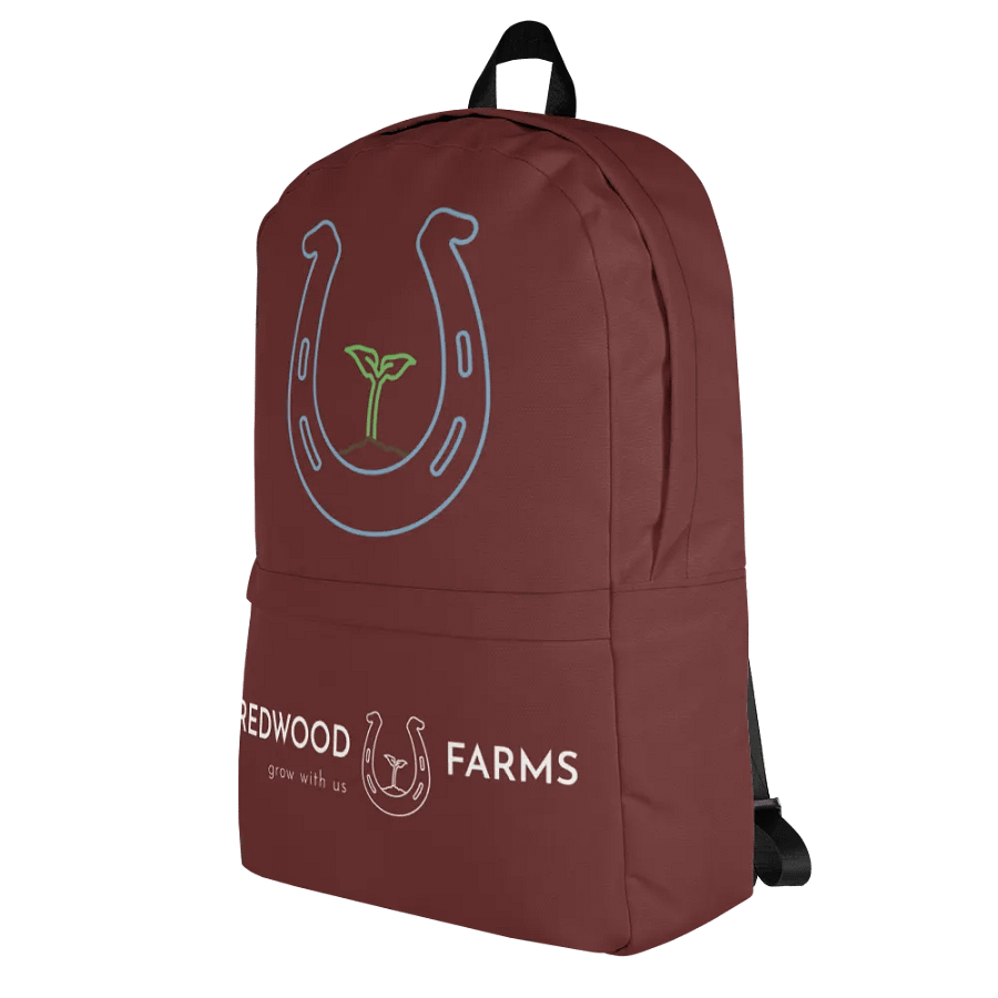 Back packs product image (3)