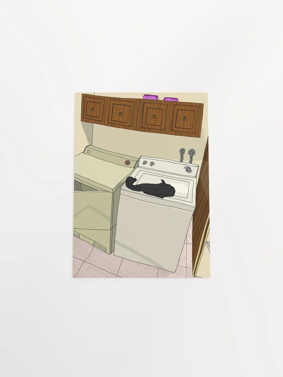 laundry product image (5)
