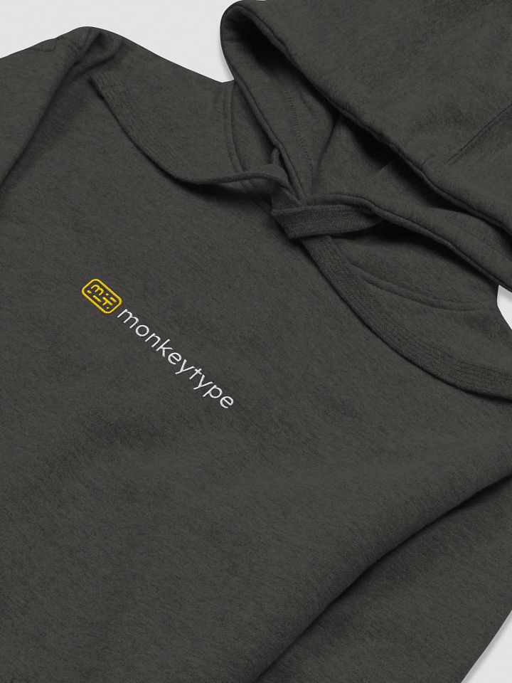 Light Wordmark Hoodie (Embroidered) product image (13)