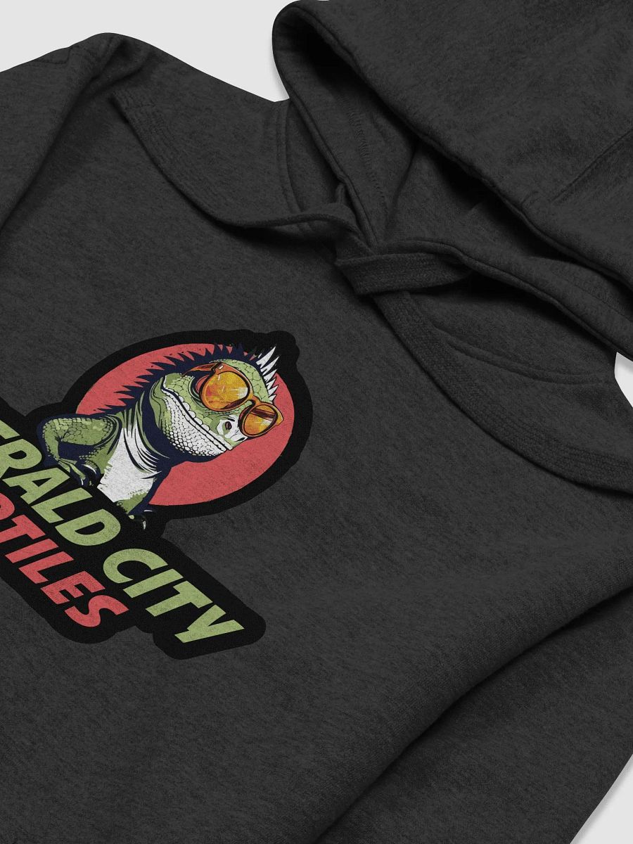 Cool Iguana Sunglasses Hoodie product image (13)