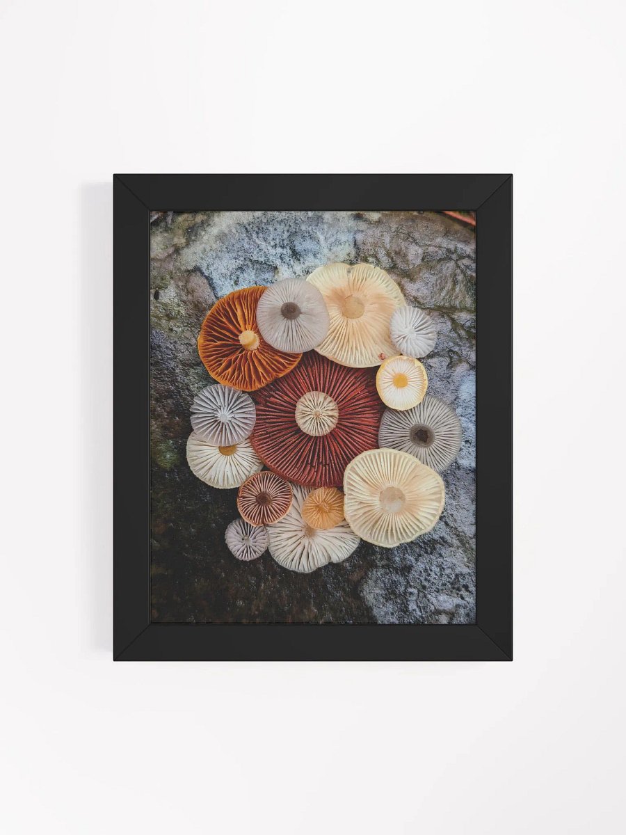 Fungal Color Palette (Frame) product image (4)
