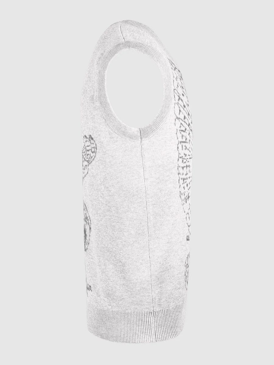 Take Flight - Jacquard V-Neck Vest product image (5)