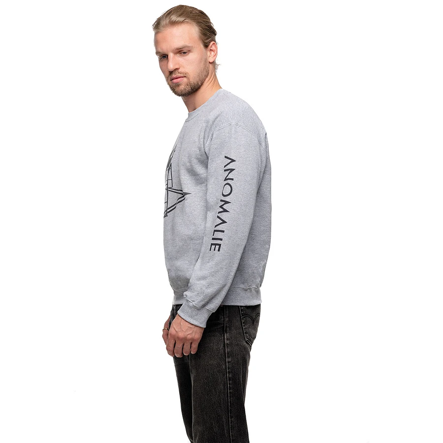 Le Tilt Crewneck product image (7)