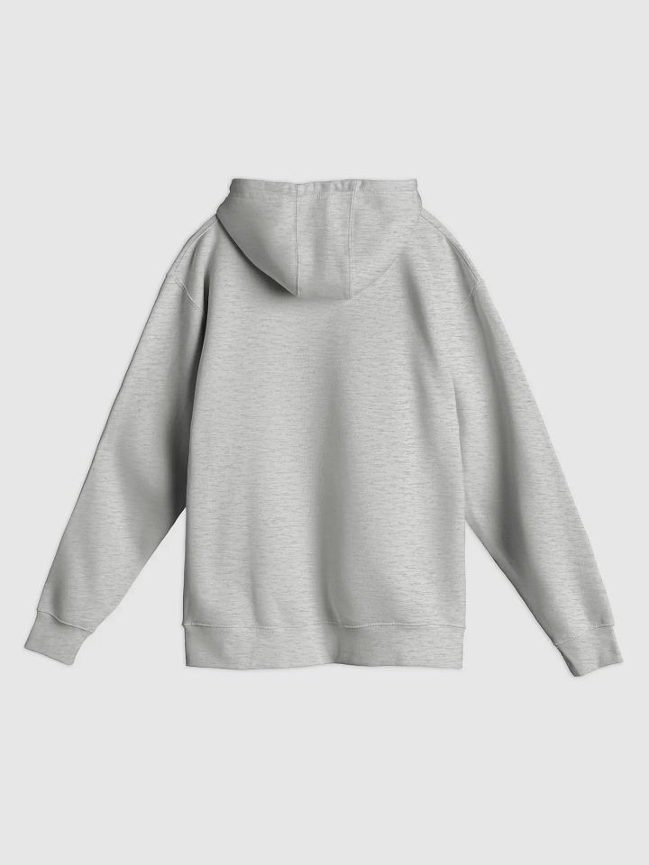MORALS Gray Hoodie product image (2)