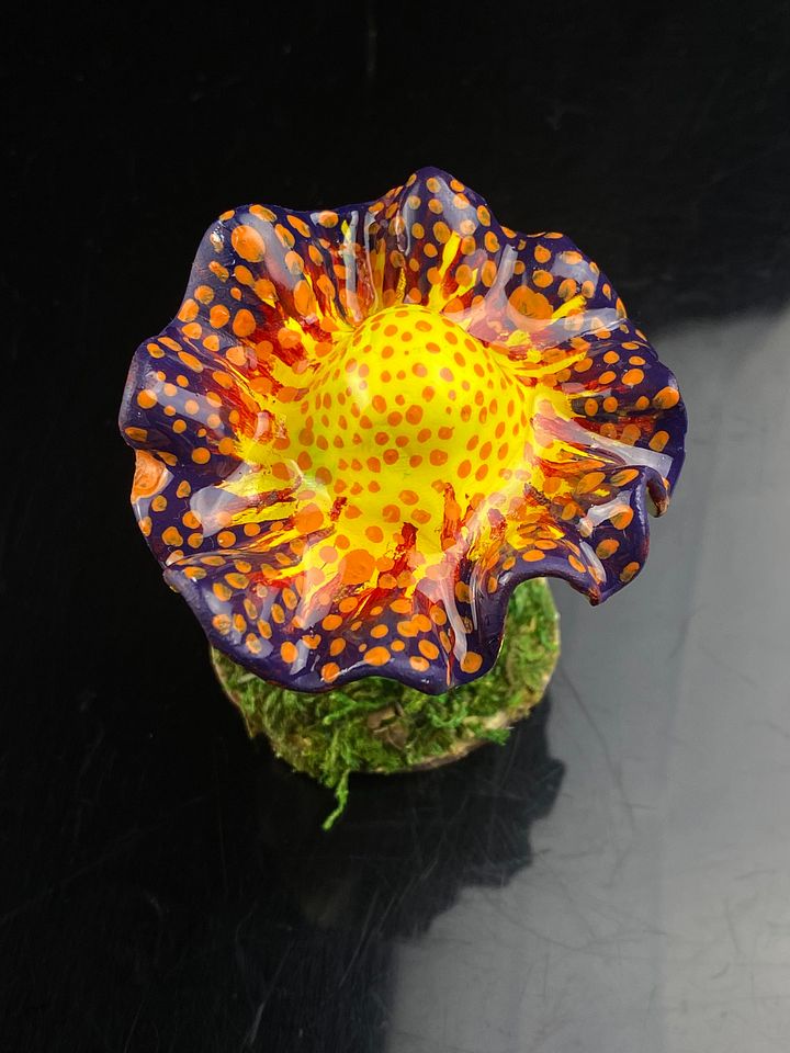 Sunburst Mushroom product image (1)