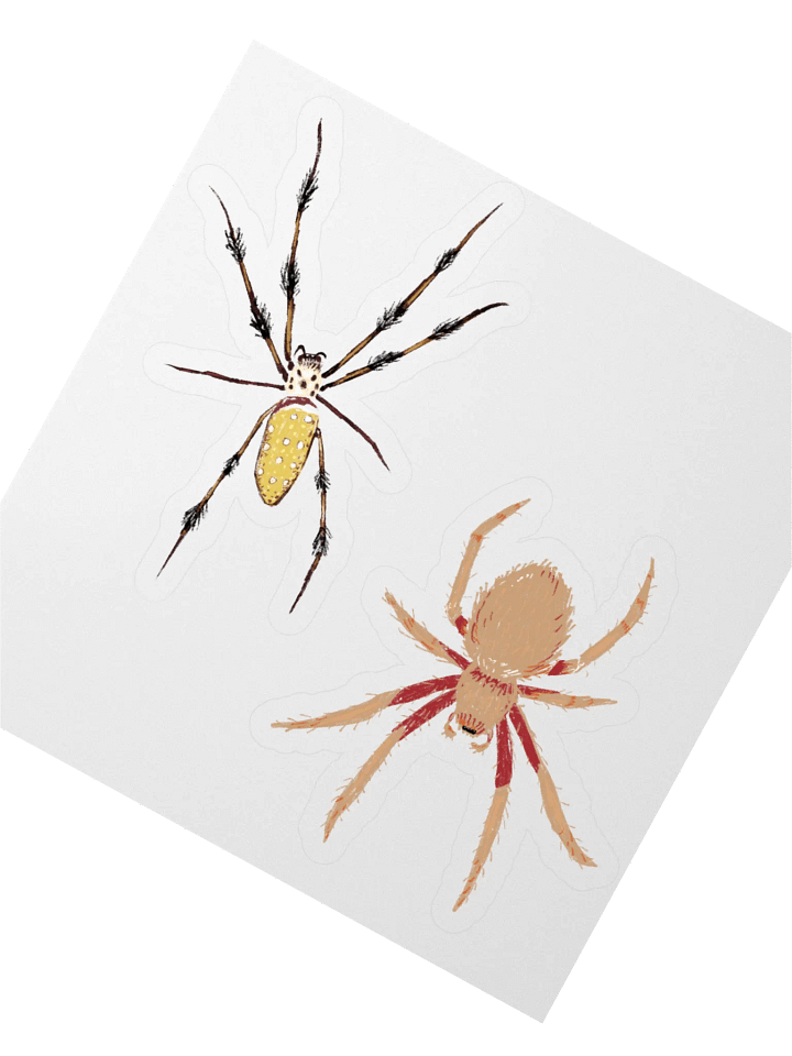 Smart Spider Sticker Pack product image (2)