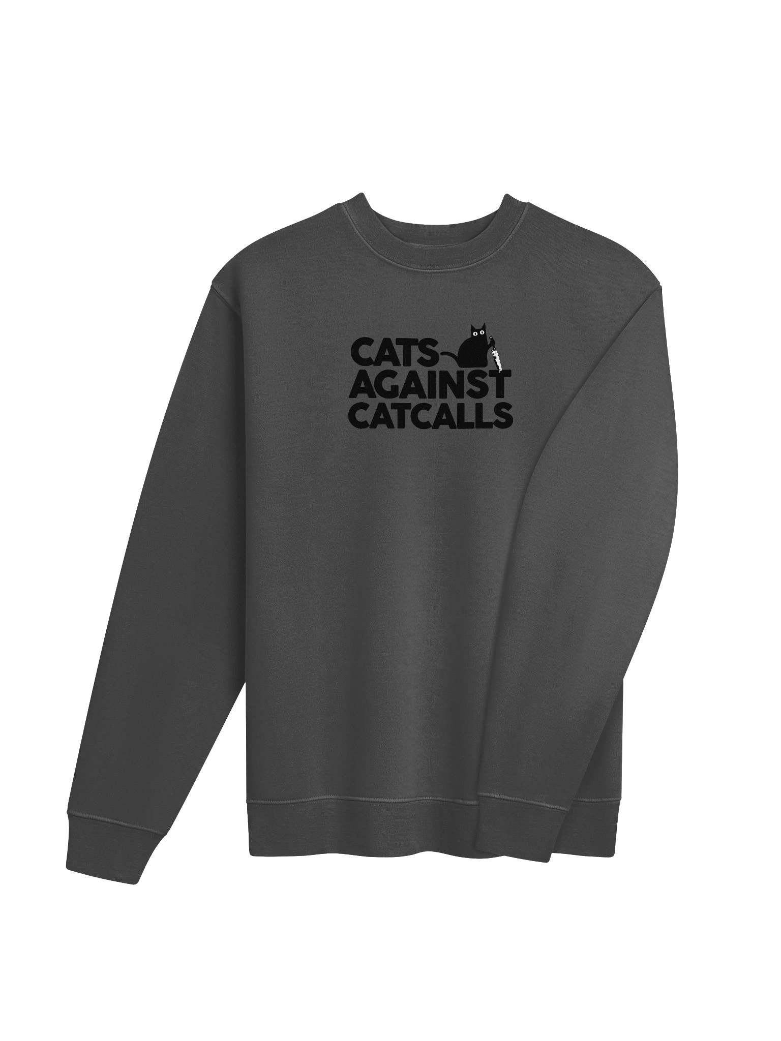 Cats Against Catcalls - Sweatshirt product image (35)