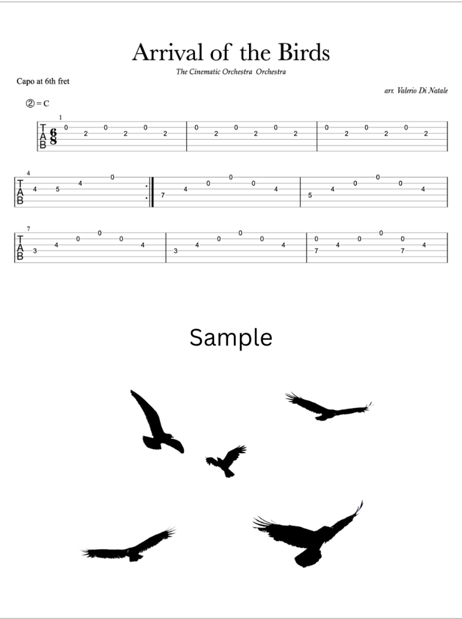 Arrival of the birds - Guitar score product image (3)