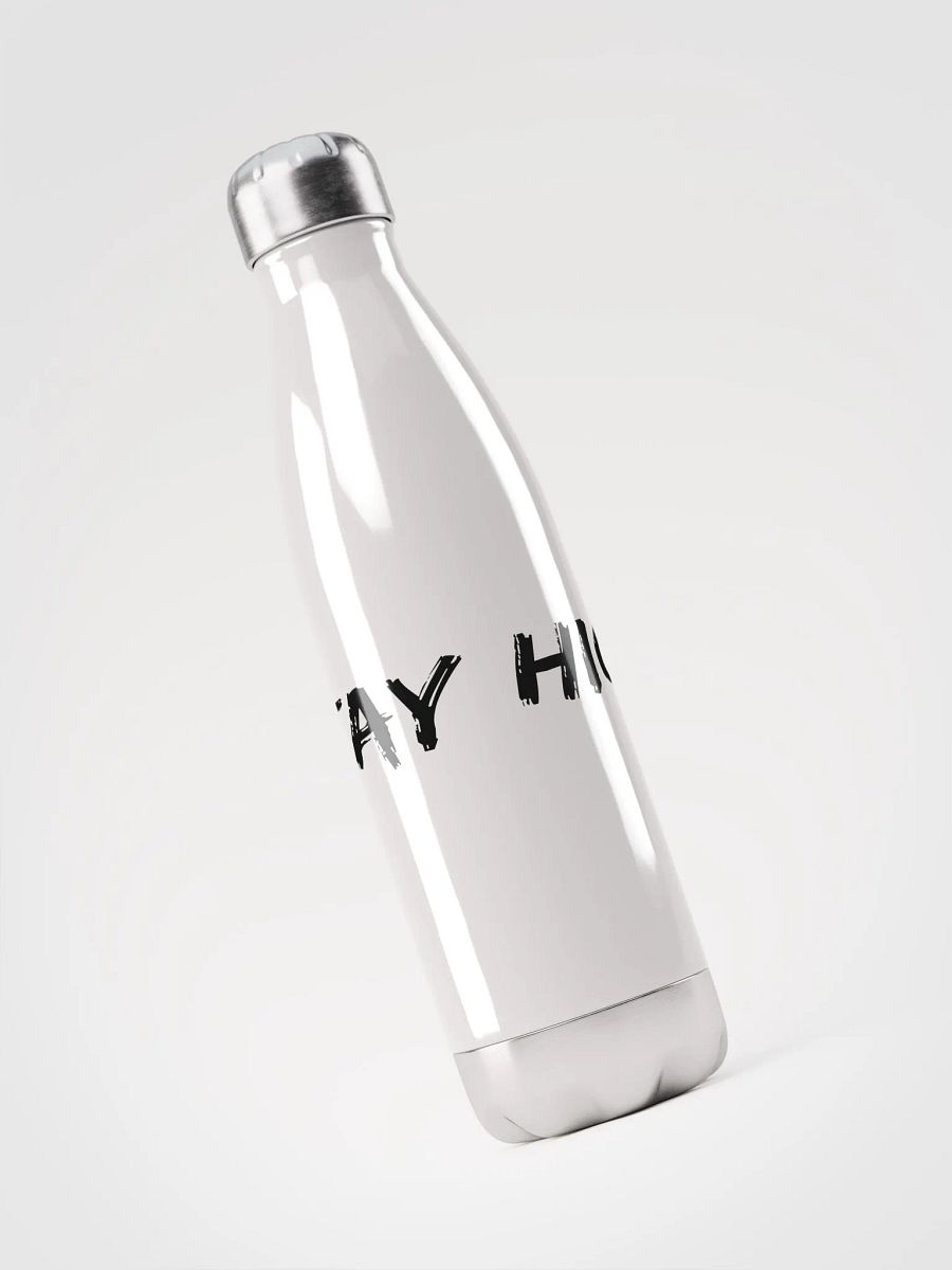 (17 oz) Stainless Steel Stay High Water Bottle product image (3)