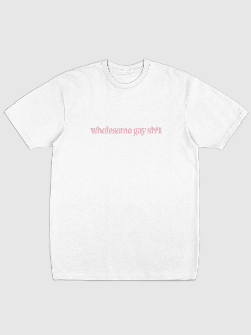 Wholesome Gay T