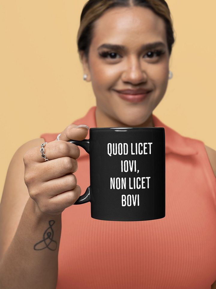 Quod Licet Iovi, Non Licet Bovi Mug product image (2)