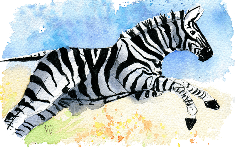 Zebra Tumbler product image (3)