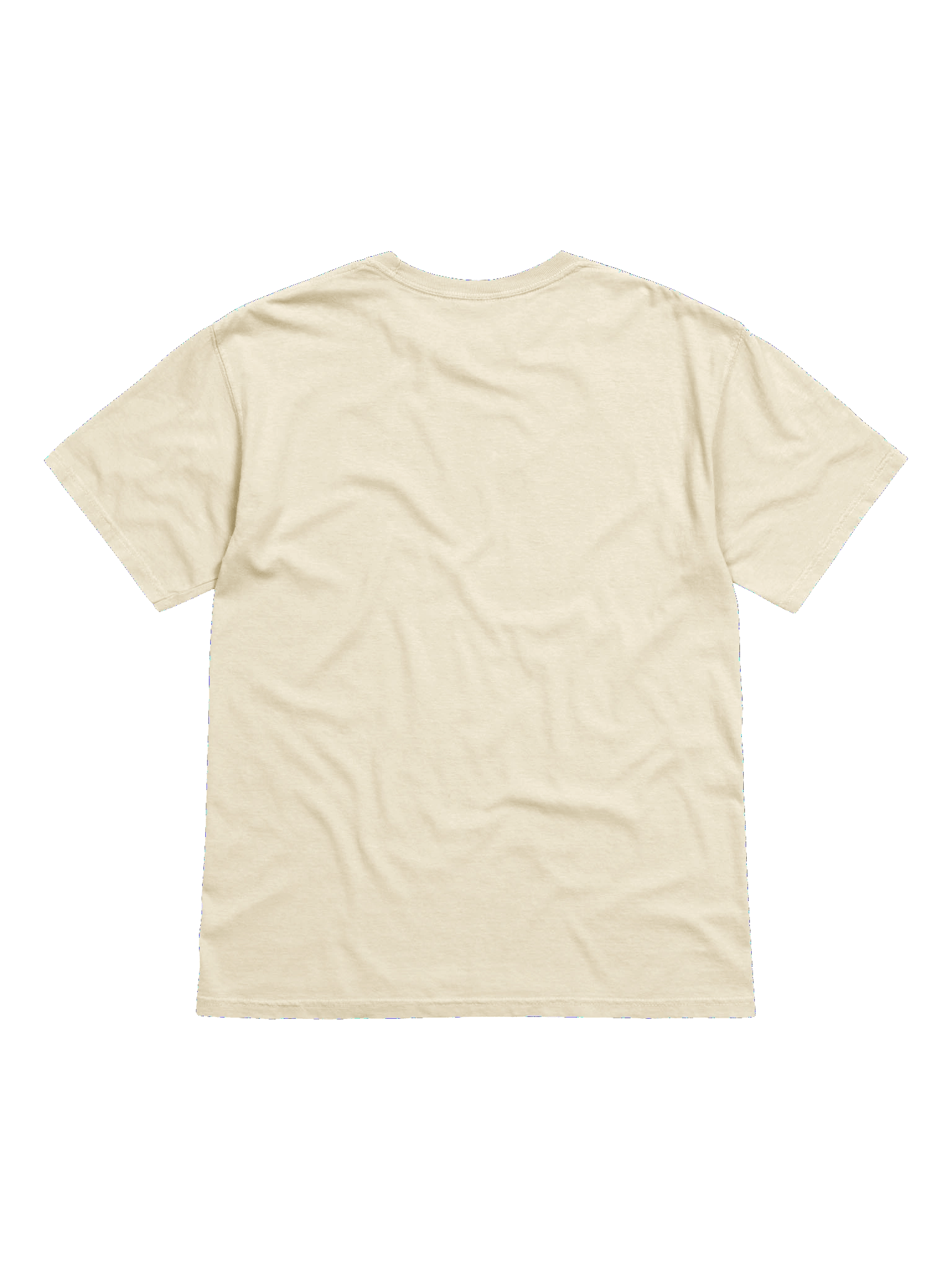 Nipple Espurr Shirt | StellaKosmistr product image (2)