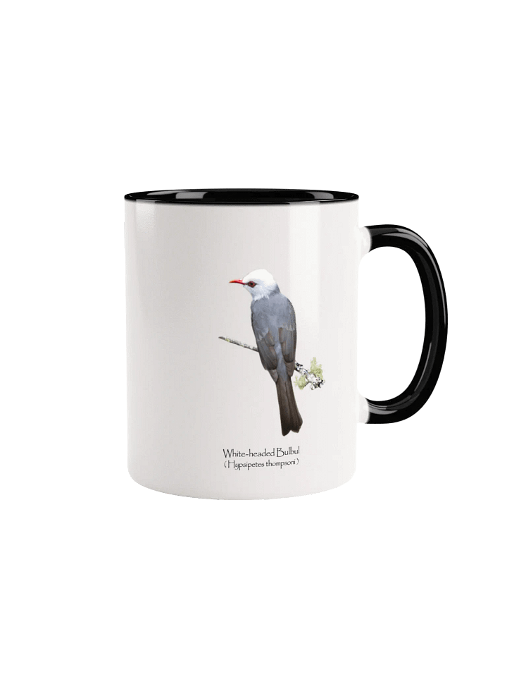 White-headed Bulbul mug product image (5)